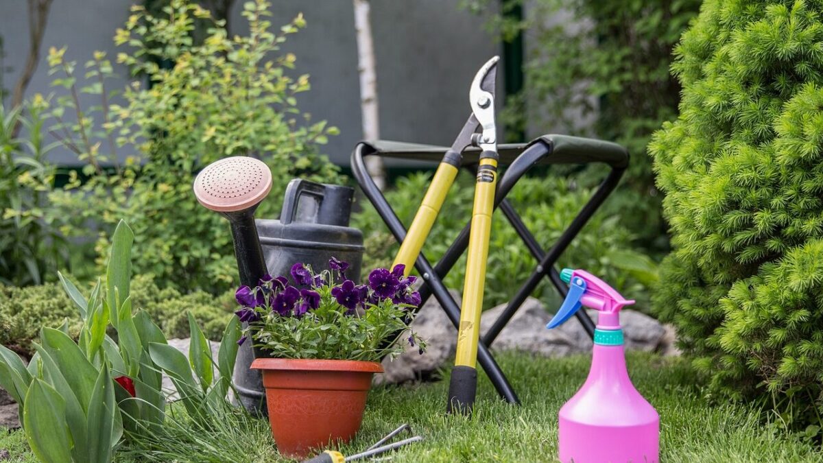 Gartenpflege Tipps: So wird Ihr Garten zum Paradies